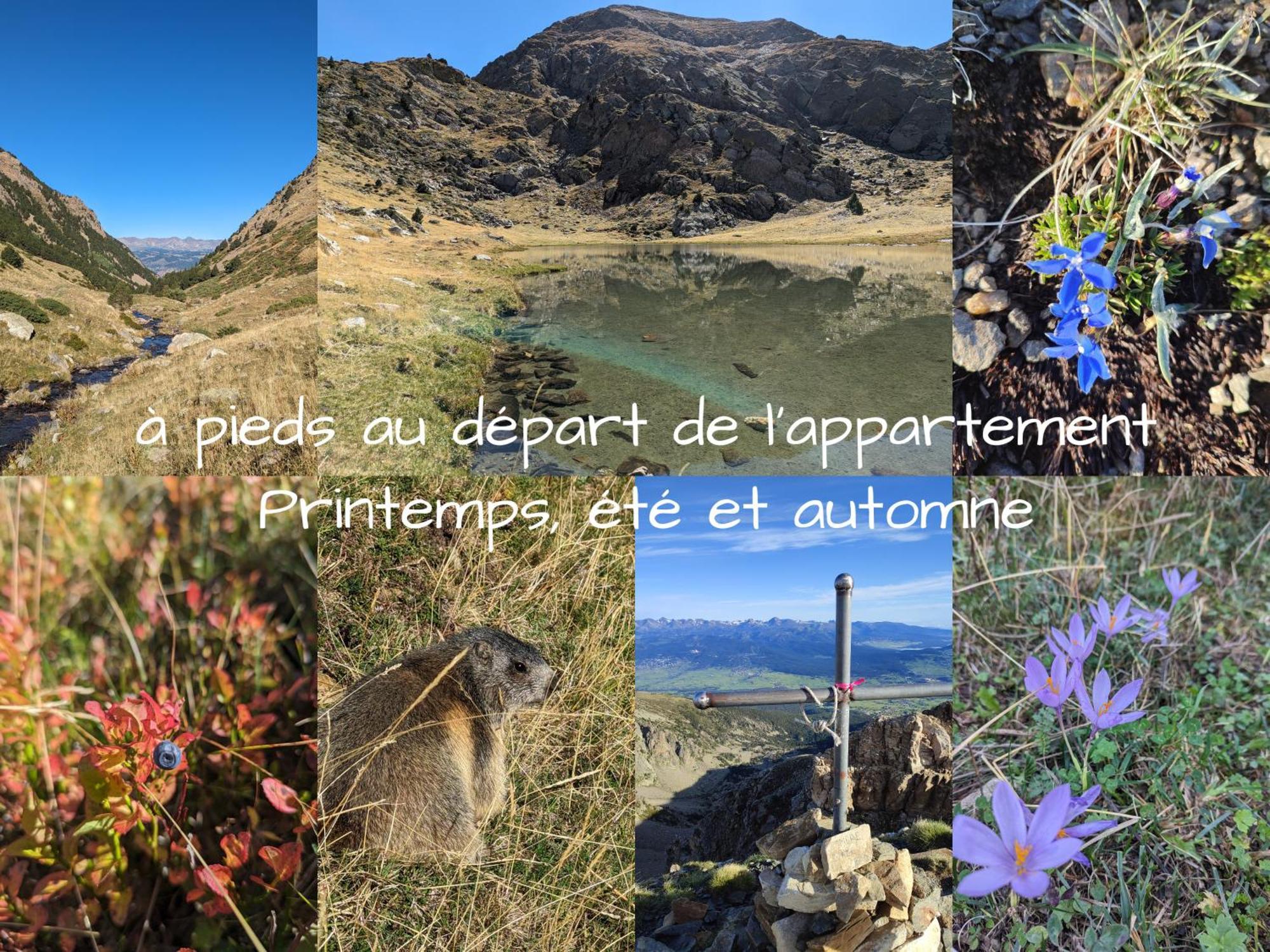 Apartamento Les Myrtilles, Au Pied Des Pistes Saint-Pierre-dels-Forcats